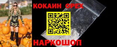 гашик Бийск