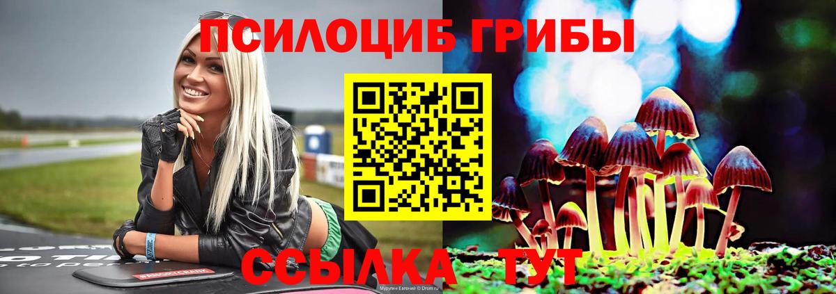 Псилоцибиновые грибы Psilocybine cubensis  Вход с VPN  Казань 